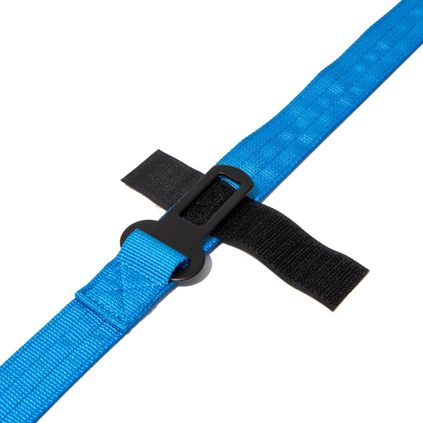 Leash