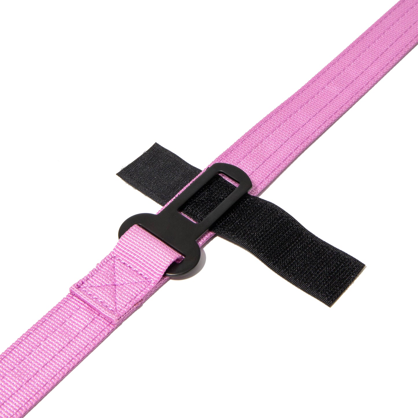 Leash