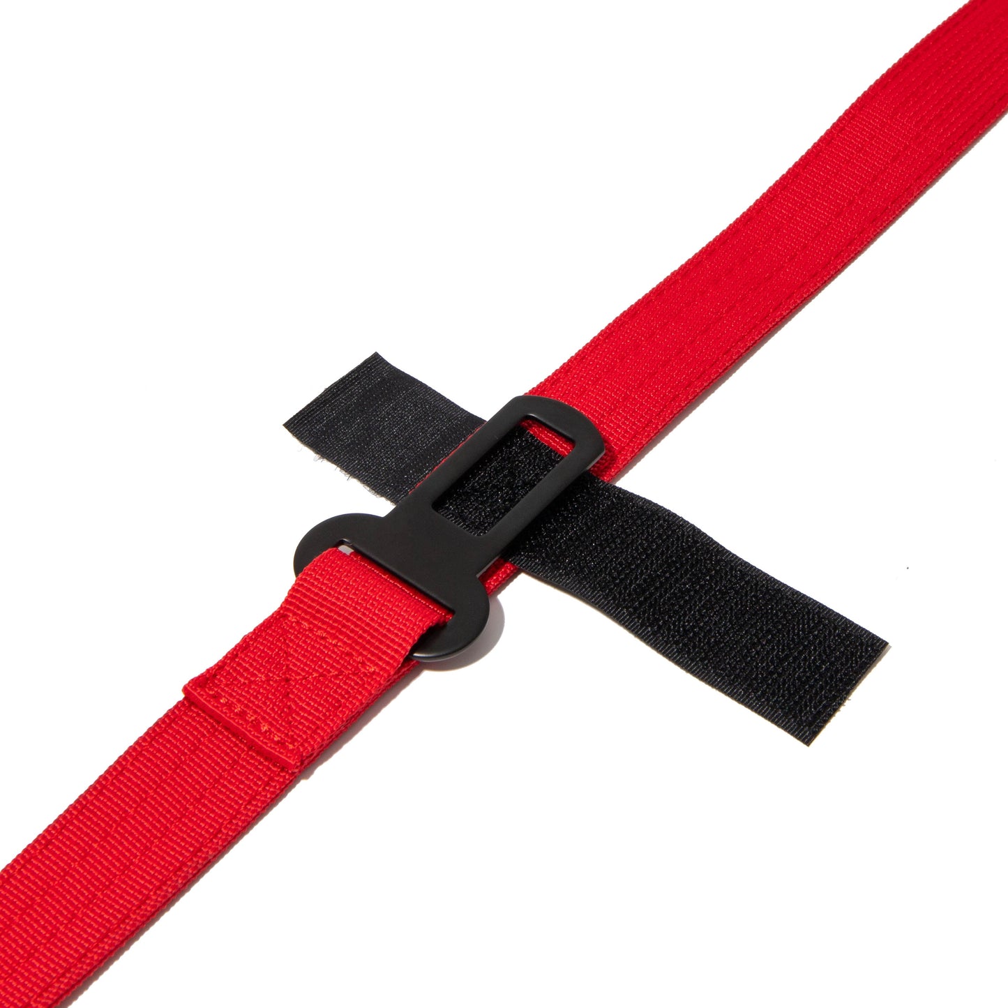 Leash