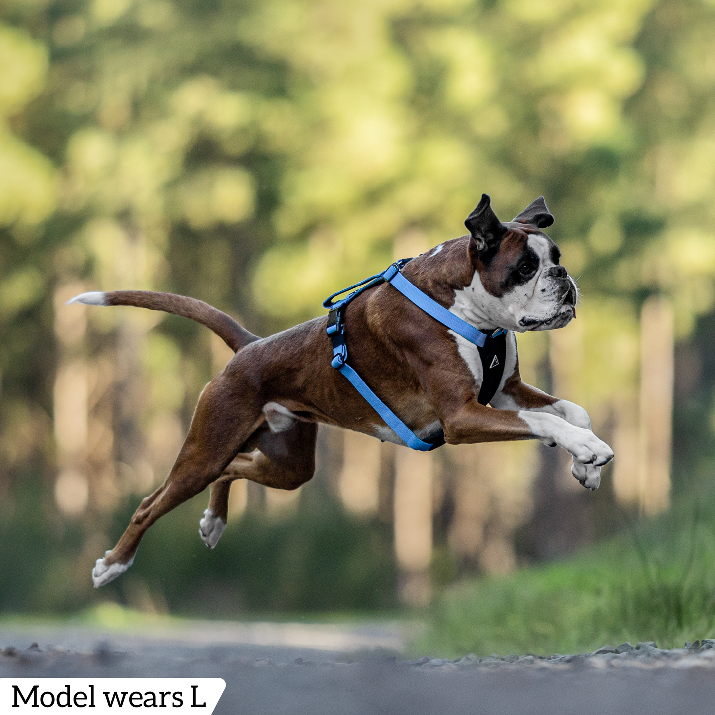 Hercules Harness