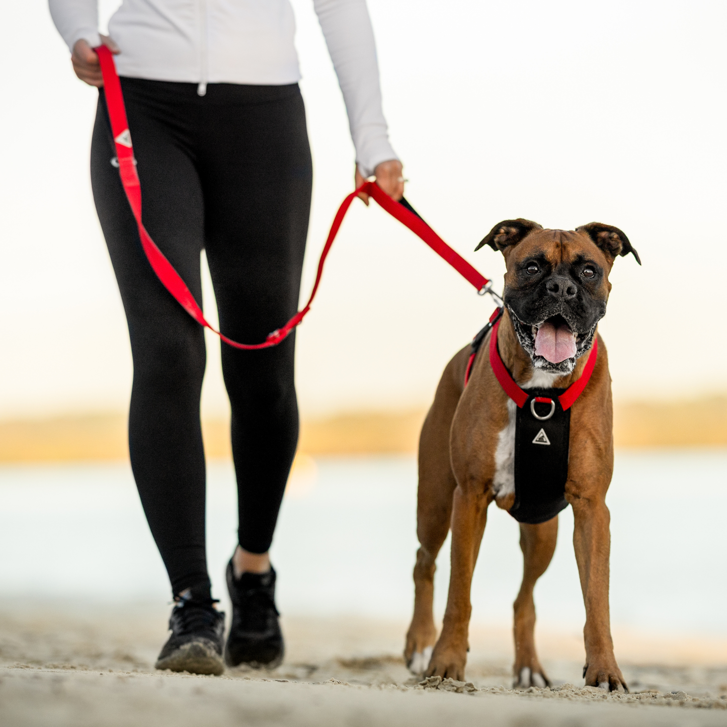Apex Leash