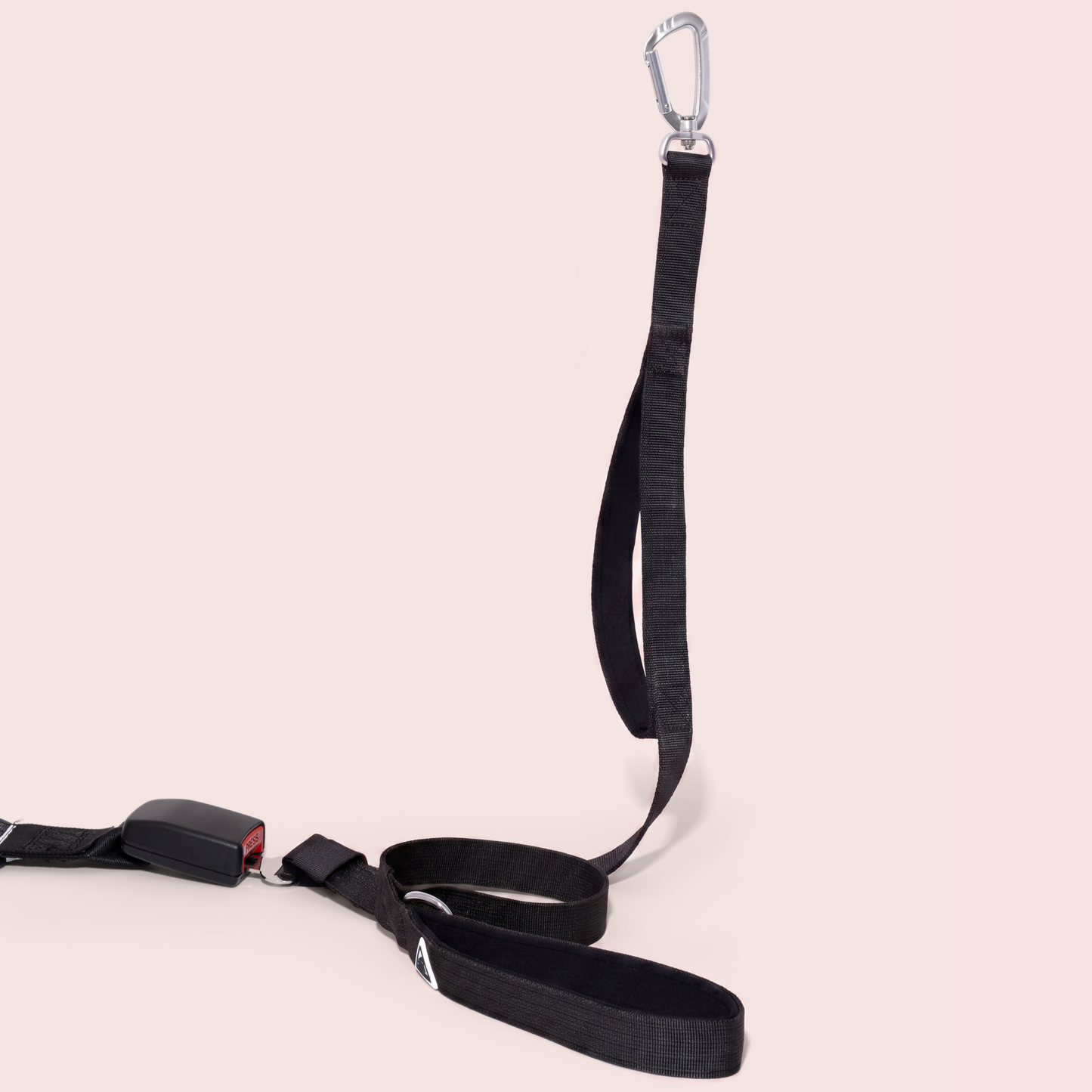 Apex Leash