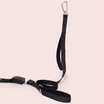 Apex Leash