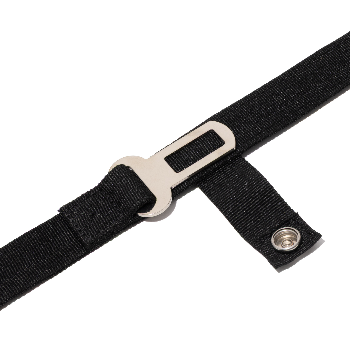 Apex Leash