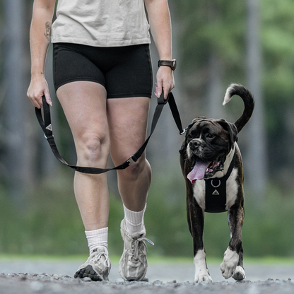 Apex Leash