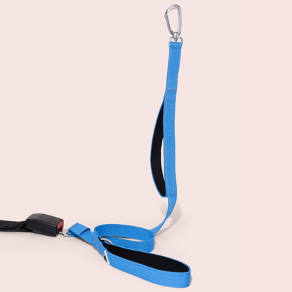 Apex Leash