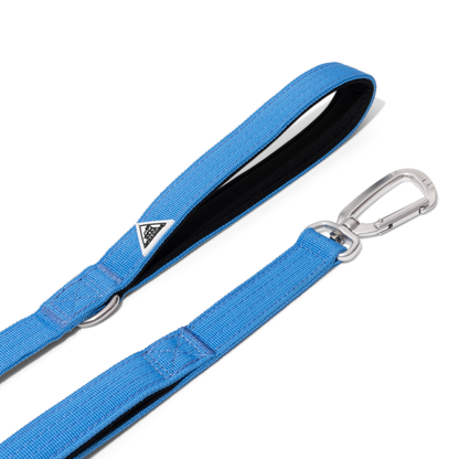 Apex Leash