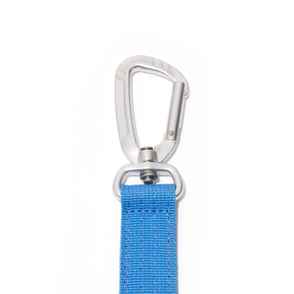 Apex Leash