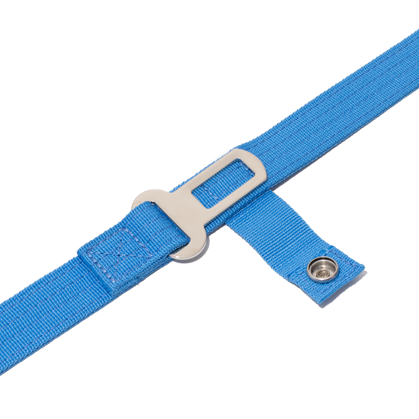 Apex Leash