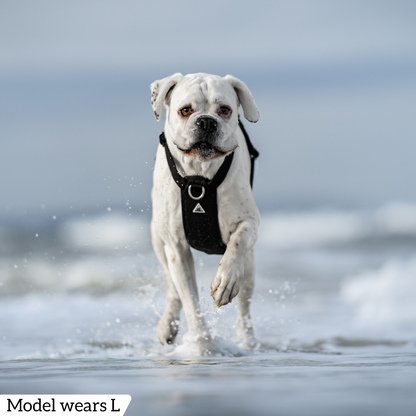 Hercules Harness