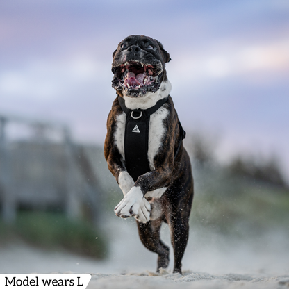 Hercules Harness