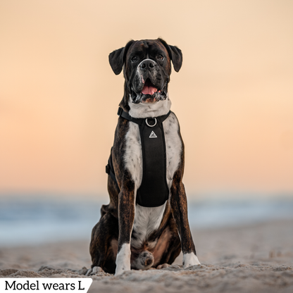 Hercules Harness