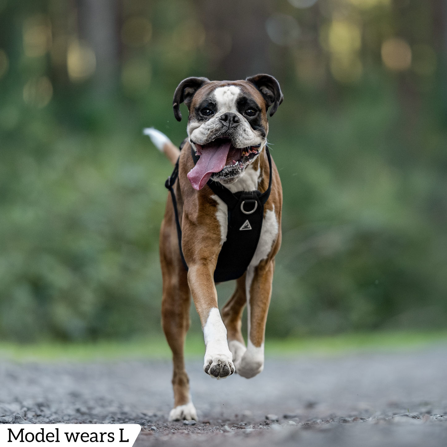 Hercules Harness