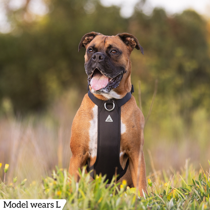 Hercules Harness