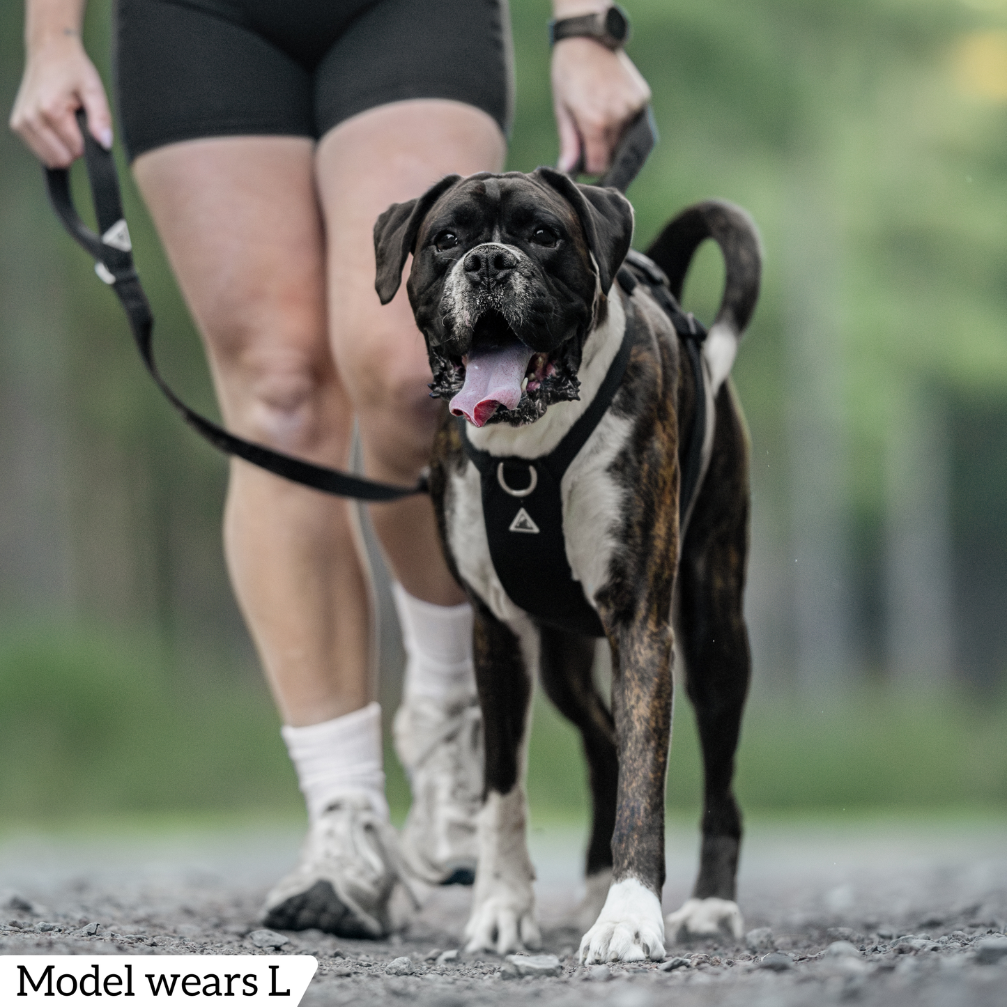 Hercules Harness