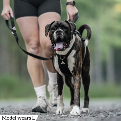 Hercules Harness