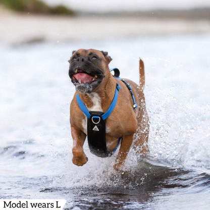 Hercules Harness