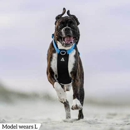 Hercules Harness
