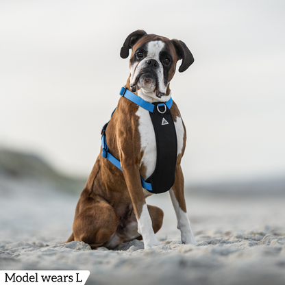 Hercules Harness