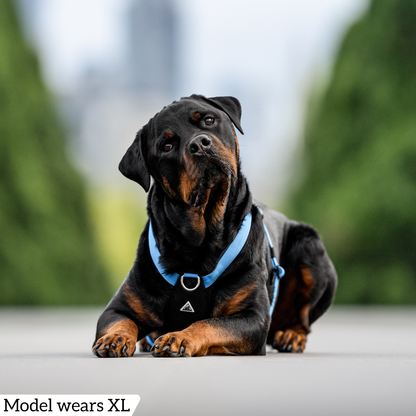 Hercules Harness