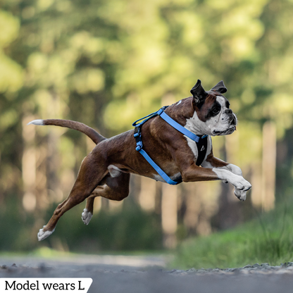 Hercules Harness