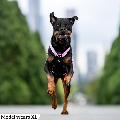 Hercules Harness