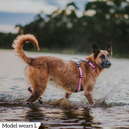 Hercules Harness