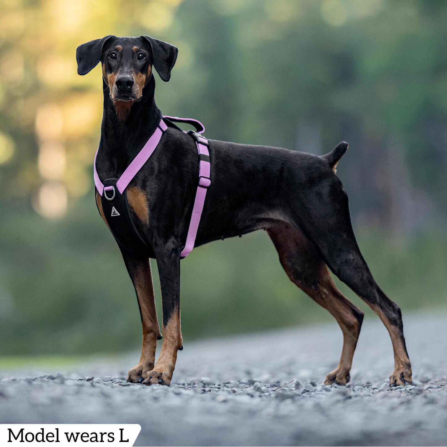Hercules Harness