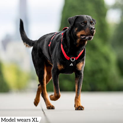 Hercules Harness