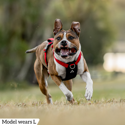 Hercules Harness