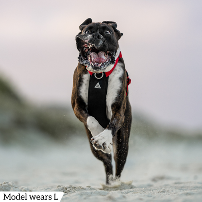 Hercules Harness