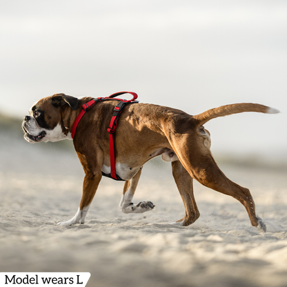 Hercules Harness