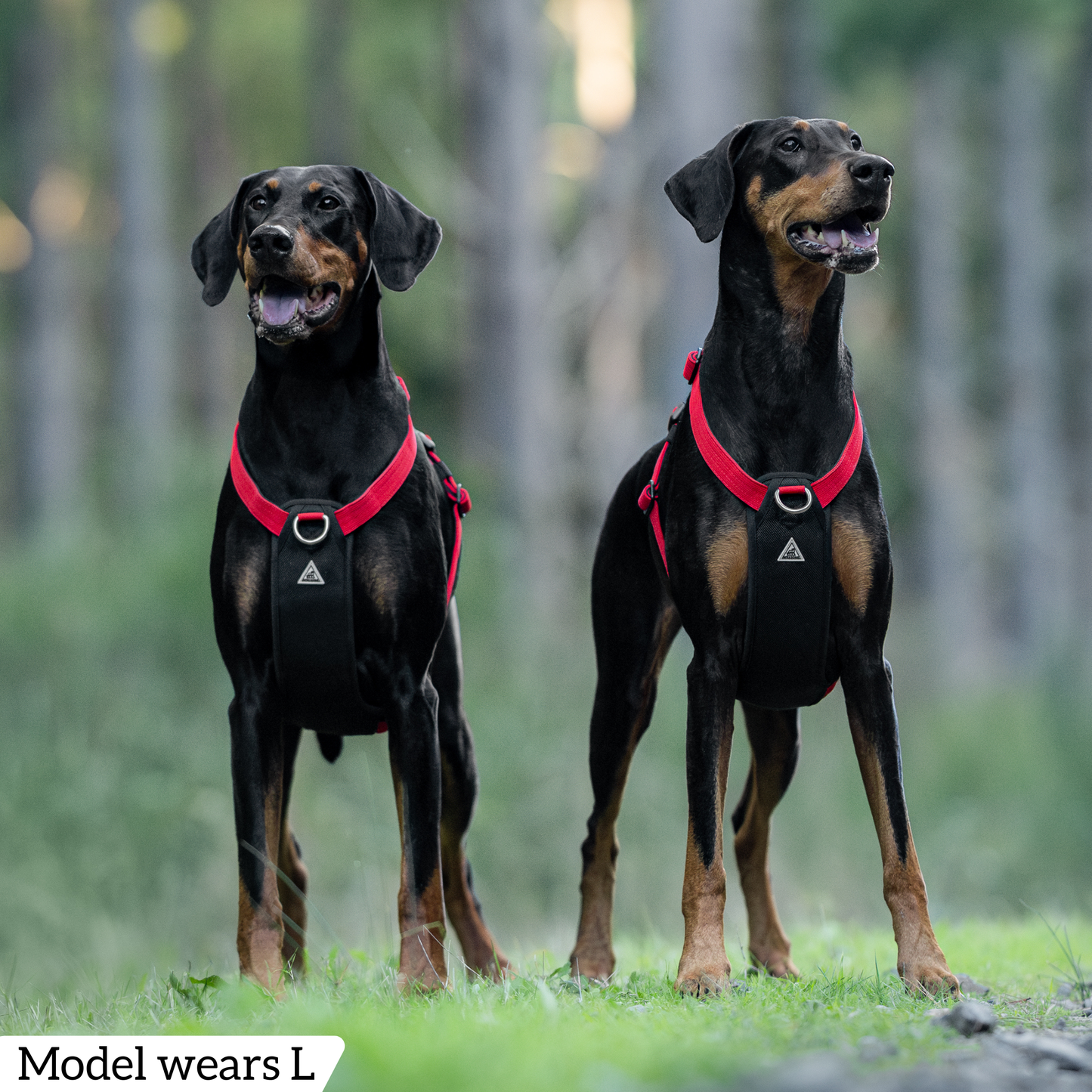 Hercules Harness