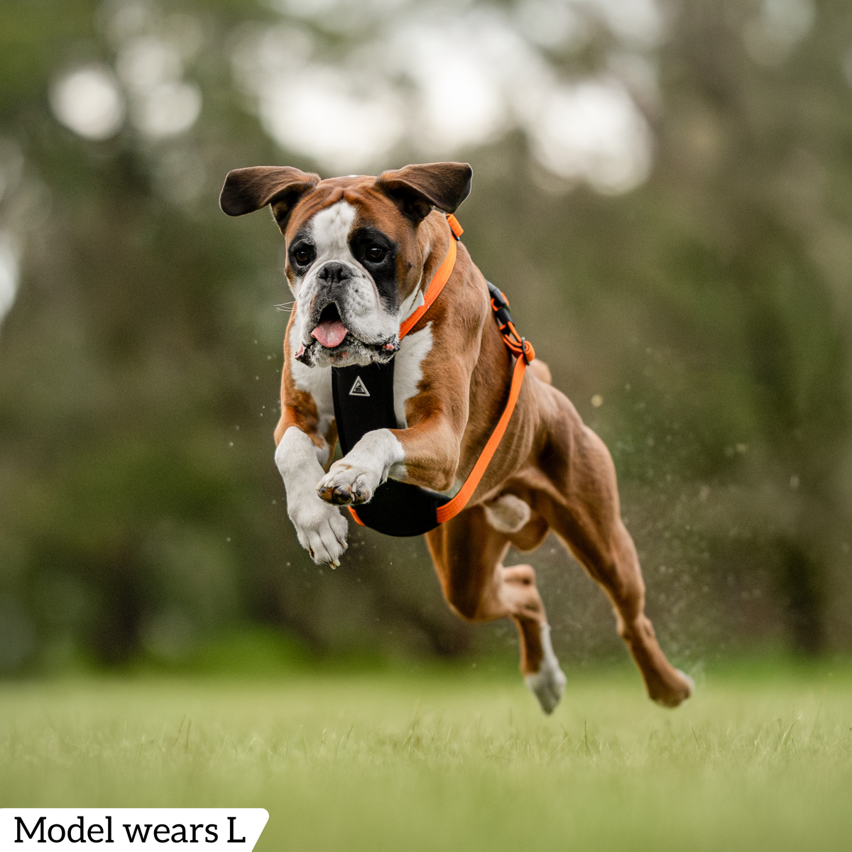 Hercules Harness