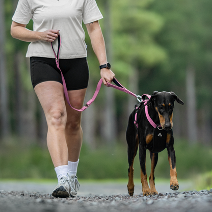 Apex Leash