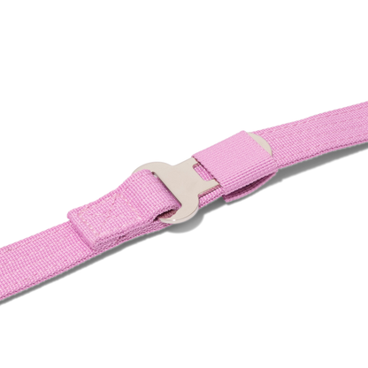 Apex Leash