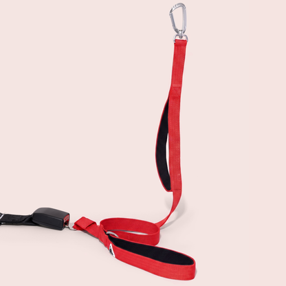 Apex Leash