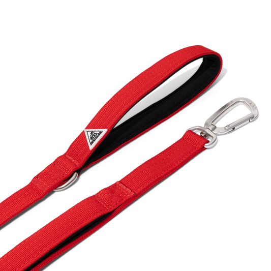 Apex Leash