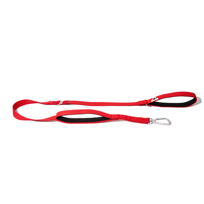 Apex Leash