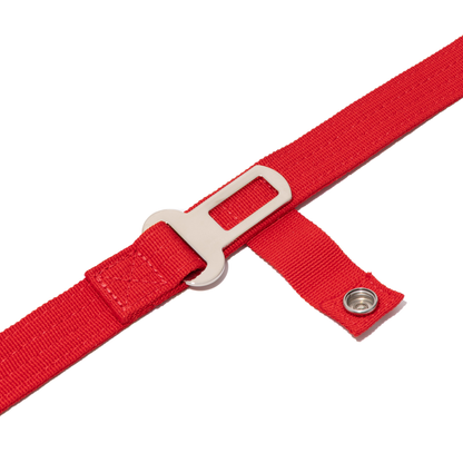 Apex Leash