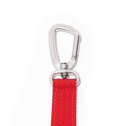 Apex Leash