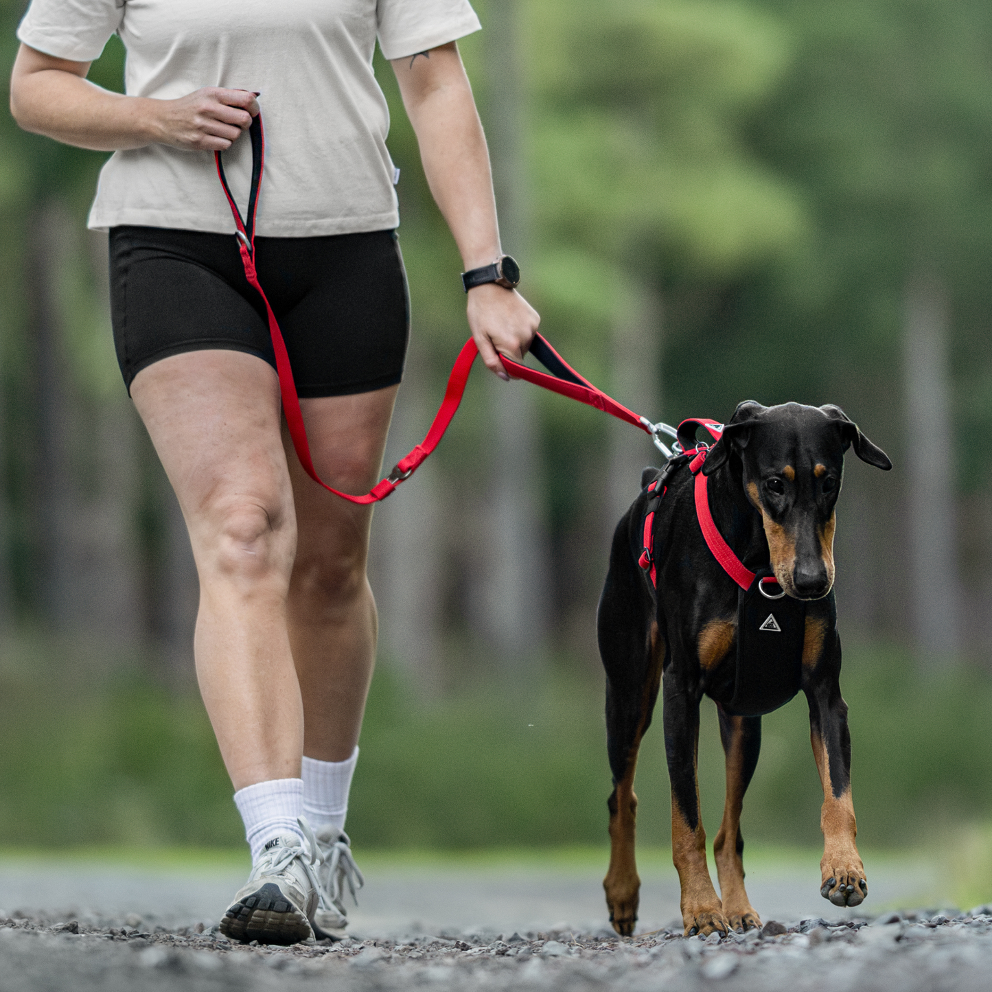 Apex Leash
